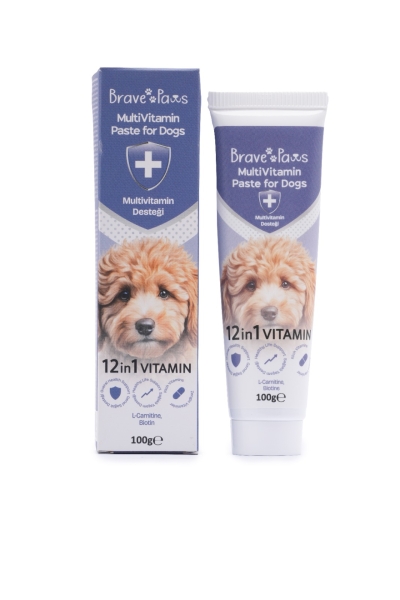 BR.PAWS KÖPEK MULTİVİTAMİN 12 İN 1